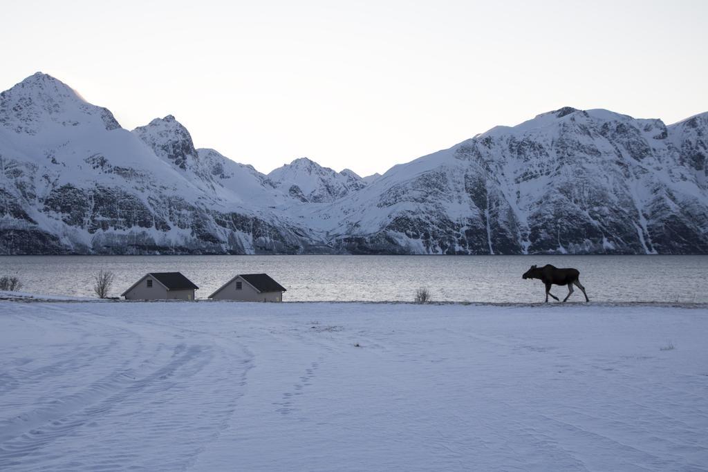 RotsundLyngen North别墅 外观 照片